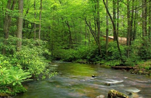 Trafalgar House | A Woodland Castle