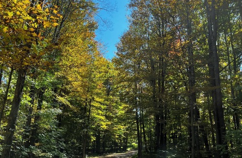 Meredith House | A Zenful Yurt Glamping Getaway Near Oneonta & Cooperstown in Upstate NY.
