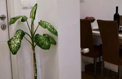 Vodice Apartment | A1 apartment orio