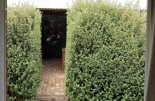 Port Willunga House | A2 @ Port Willy