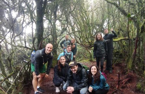 Tanah Rata Hostel | A3A Oastel CoLiving