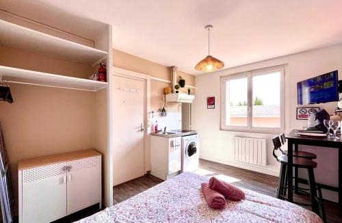 Saint-Georges-sur-Baulche Apartment | A605 Studio Auxerre avec parking