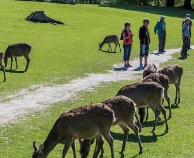 Aarhus C Apartment | AArhus 115