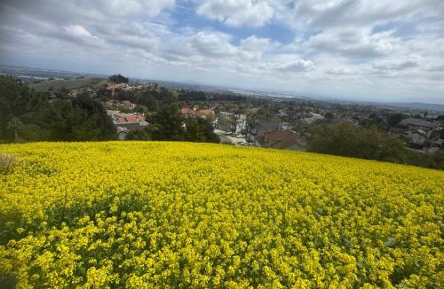 Chino Hills House | AB&B suite