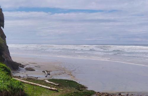 South Beach House | Abalone Rose