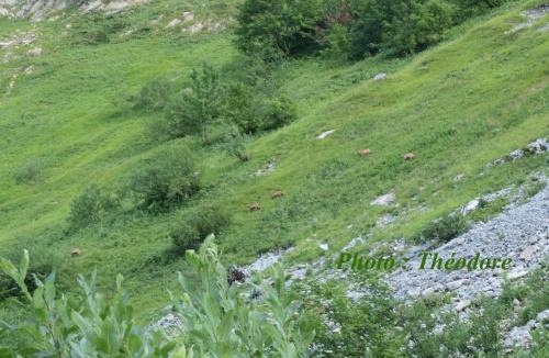 Marthod Bed & Breakfast | Abeille Saint Michel