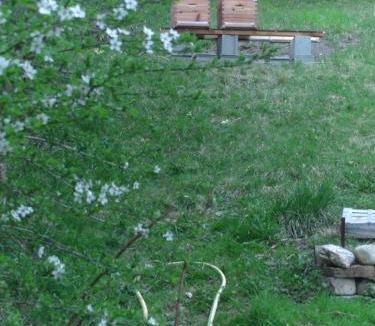 Marthod Bed & Breakfast | Abeille Saint Michel