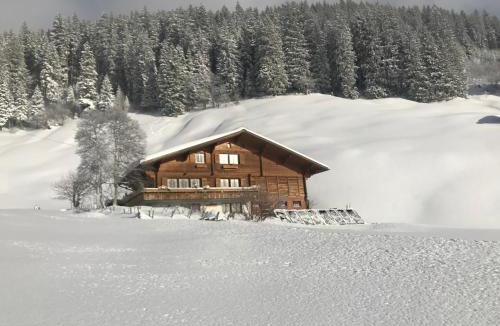 Adelboden House | Abelied