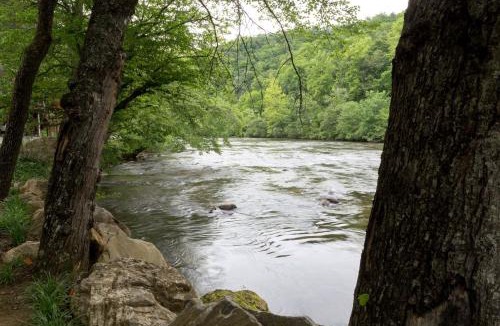 Sylva House | Above the River