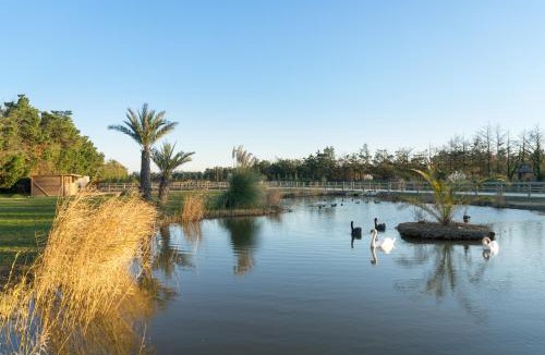 Saint-Gilles Bed & Breakfast | Abri Cosy - Suite Romantique en Camargue