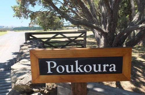 Purerua House | Absolute beachfront bach