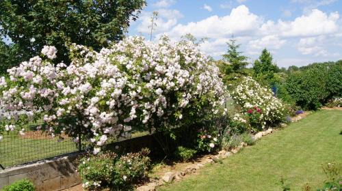 Le Caylar Bed & Breakfast | Acaba d'Entrar