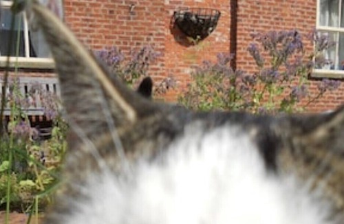 Scawton House | Accessible Cottages In Farm Setting - Williow cottage