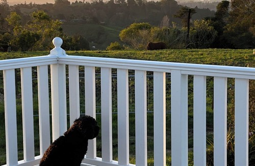 Nukuhou Cottage | Accessible Ohope Beach Country Cottage