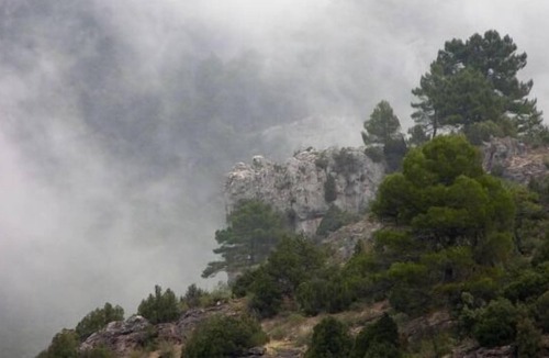 Beas de Segura Cottage | Accommodation Los Valeros 15 people