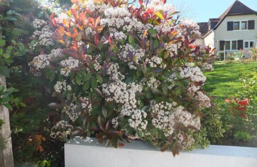 Orthez Bed & Breakfast | ACCUEIL LAFAYE21