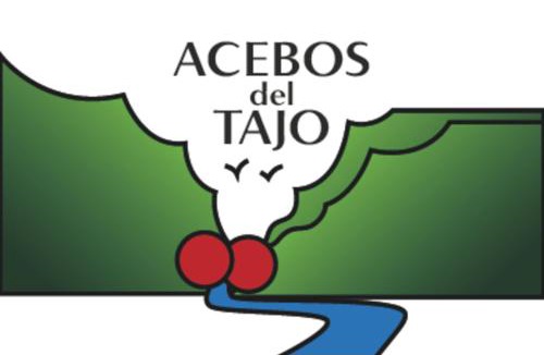 Peralejos de las Truchas Apartment | Acebos del Tajo