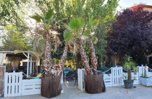 Peralejos de las Truchas Apartment | Acebos del Tajo