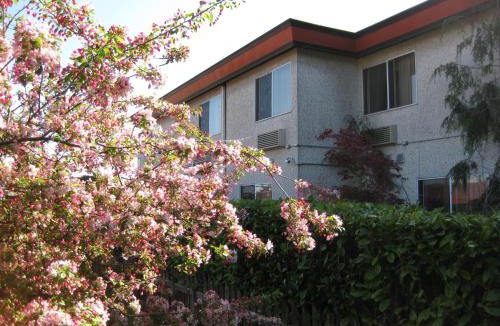 Oak Harbor Hotel | Acorn Motor Inn