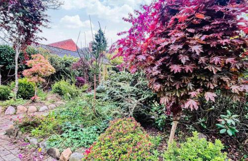 Bording House | Activity House in the Middle of Bording