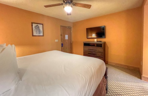 Mount Crested Butte Hotel | ADA Hotel Suite, Kitchenette, Great Location, Indoor/Outdoor Pool, Hot Tub!