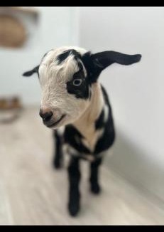 Talunga House | Adelaide Hills Farm Stay