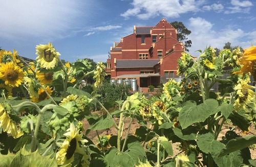 North Adelaide House | Adelaide Style Accommodation near City