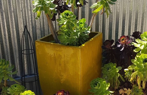 Echuca Apartment | Adelphi Apartment 6A