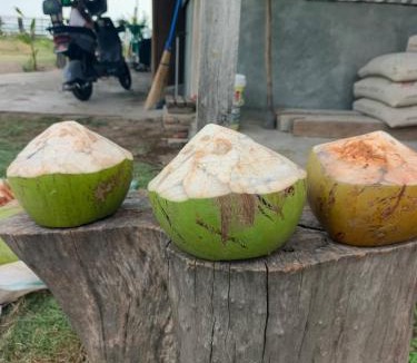Sumbawa Barat House | Adiba Homestay