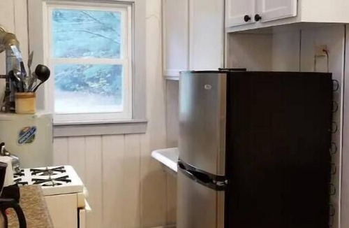 Johnsburg Cabin | Adirondack Birch Inspired Cabin