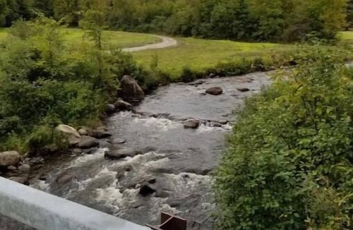 Johnsburg Cabin | Adirondack Birch Inspired Cabin