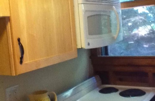 Ticonderoga House | Adirondack Camp - Lakefront - New Dock - with wifi