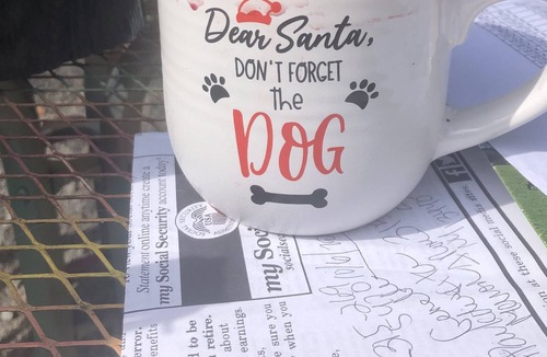 Alder Creek Cabin | ADIRONDACK CHICK INN