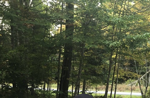 Alder Creek Cabin | ADIRONDACK CHICK INN