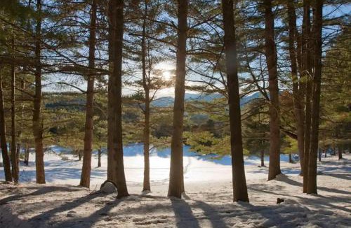 Elizabethtown House | Adirondack Cottage Retreat