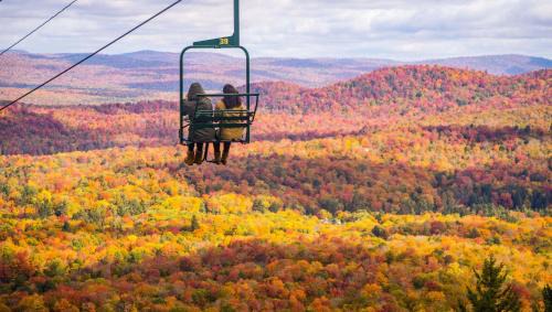 Town of Webb Cabin | Adirondack Lodge Old Forge