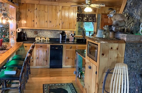 Wells House | Adirondack Mts. Lakefront Cabin with Hot Tub on Lake Algonquin, Wells , NY.
