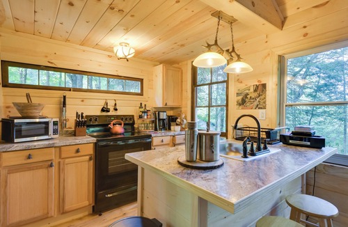 Forestport Cabin | Adirondacks Cabin w/Fire Pit on Otter Lake!