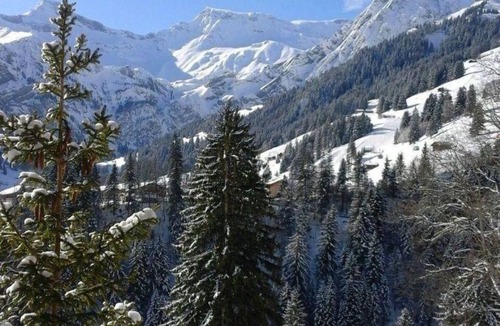 Adelboden Apartment | Adlerhorst by Interhome