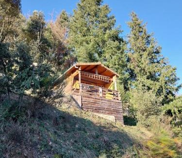 Saint-Sauveur-de-Montagut Apartment | Adorable chalet au coeur de l'Ardèche