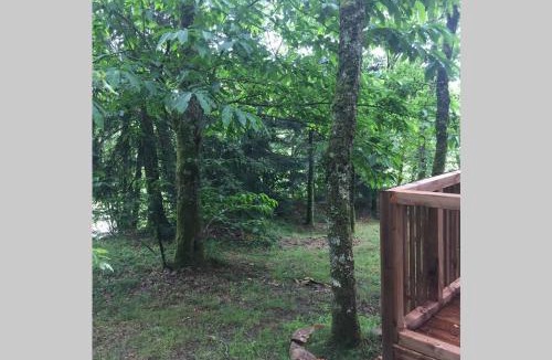 Saint-Junien House | Adorable Cabane dans un espace boisé