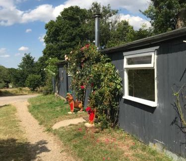 Ewhurst Green House | Adorable Hideaway with log fire and incredible views