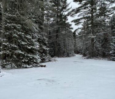 Michigamme House | Adventure Cabin on Lake Ruth