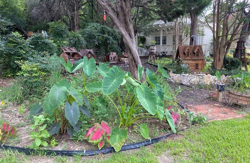Whitney Cottage | Adventure Cottage at Lake Whitney