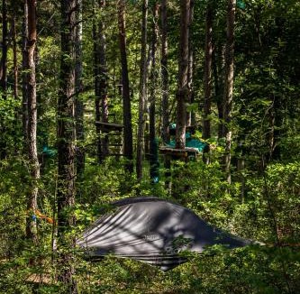 Castellane Other | Adventure Forest