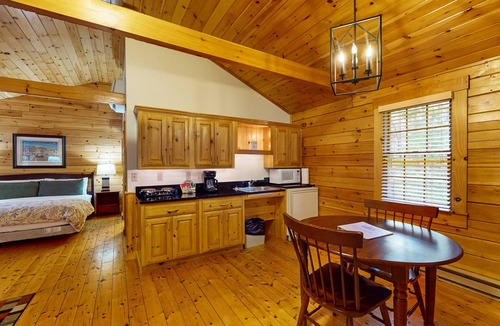 Northport Apartment | Adventure ready studio cabin with wooded views, fireplace, & AC