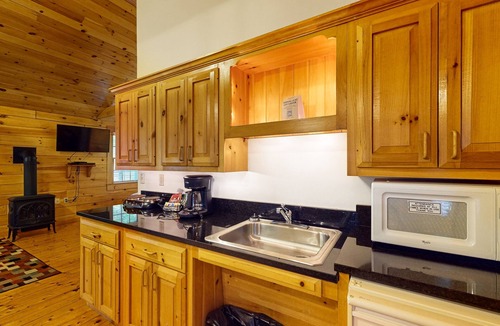 Northport Apartment | Adventure ready studio cabin with wooded views, fireplace, & AC