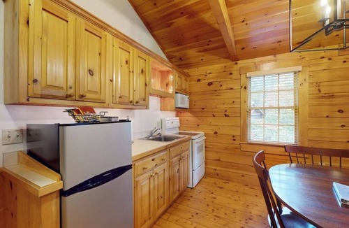 Northport Cabin | Adventure starts here in this dog-friendly cabin with kitchen, firepit & trails