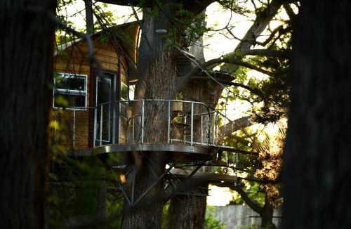 Spicewood House | Adventures Await at this Stunning Tree House Retreat in Texas