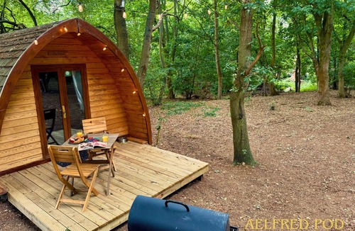 West Stow Cabin | Aelfred Pod